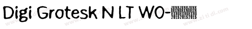 Digi Grotesk N LT W0字体转换